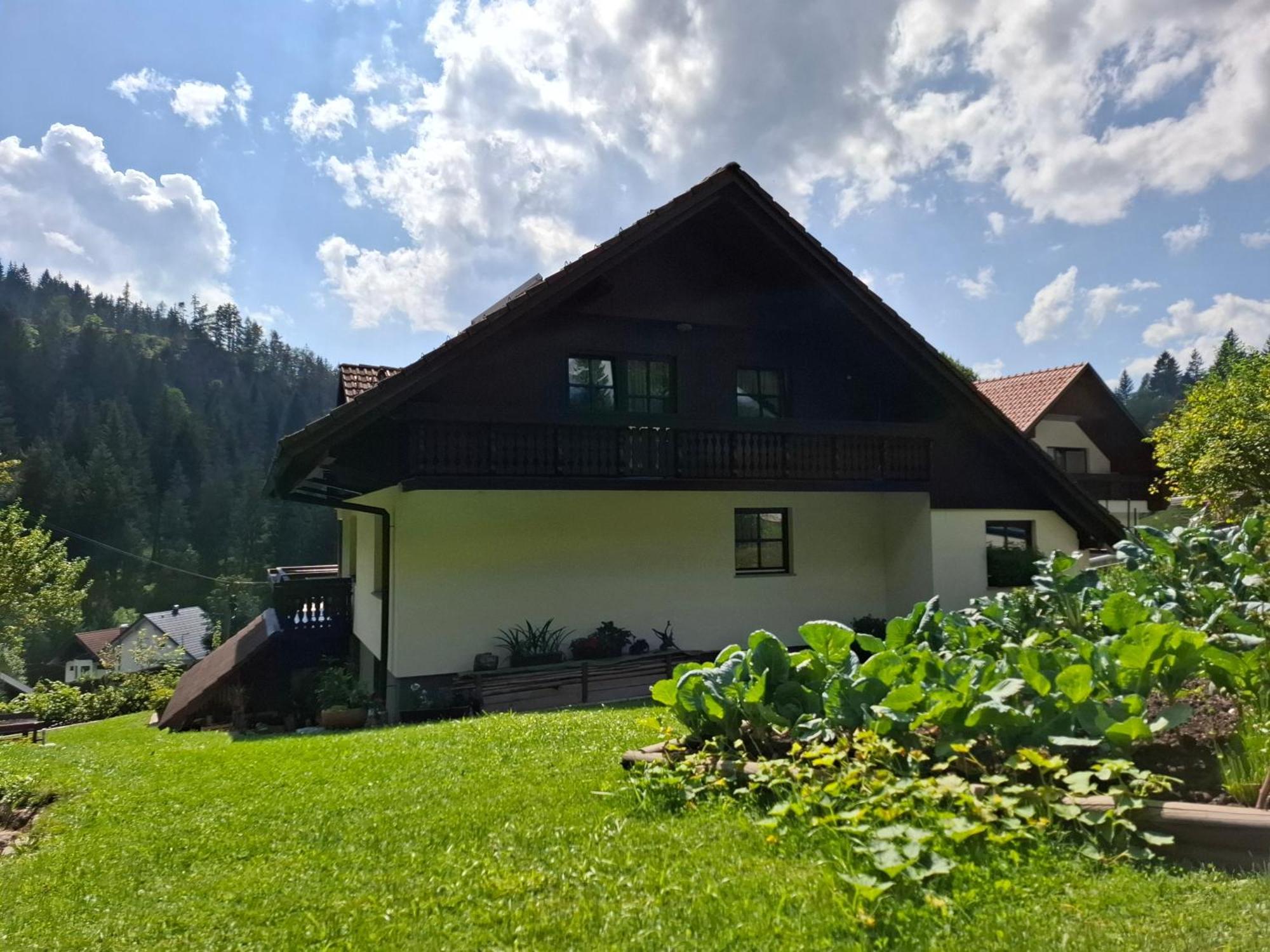 Apartma Cvrsta Trojka ゴレンスカ地方 エクステリア 写真